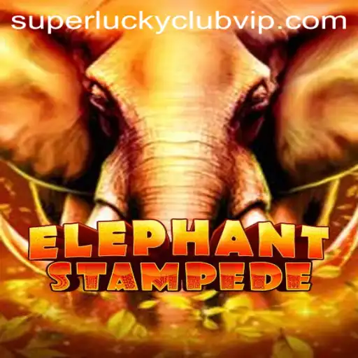 ElephantStampede: The Thrilling Adventure of Strategy and Luck in Superluckyclub
